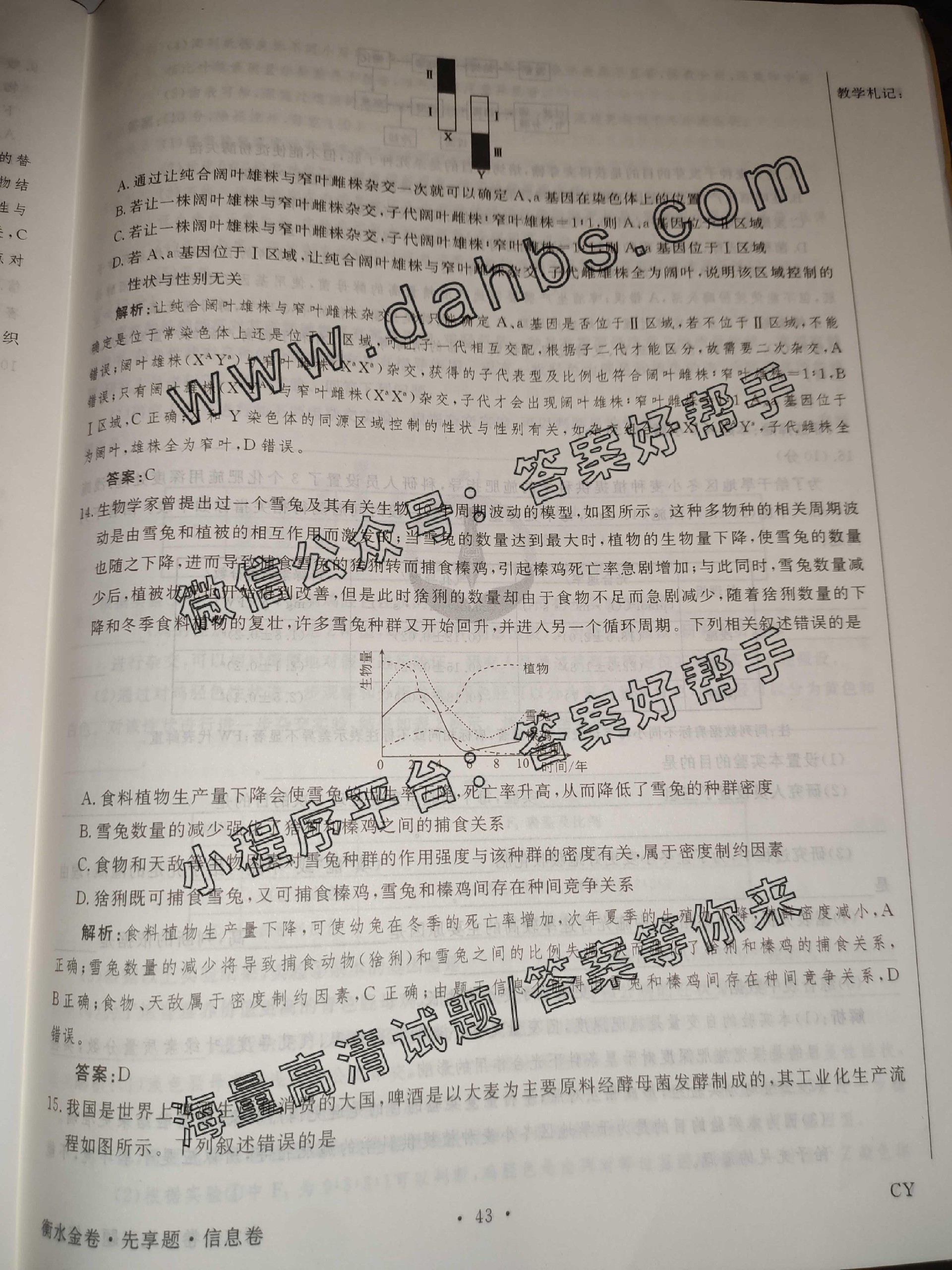 126.jpg