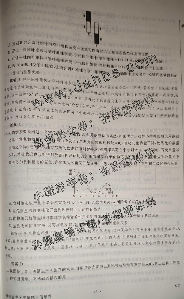 127.jpg