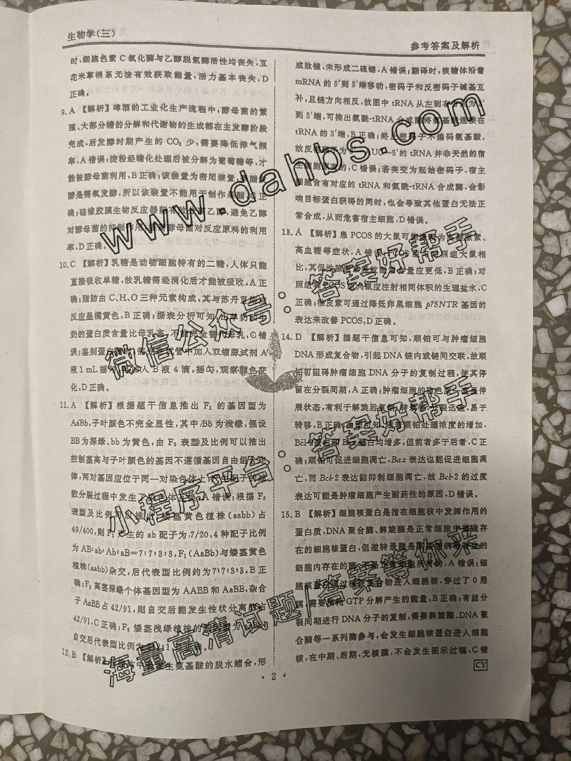 134.jpg