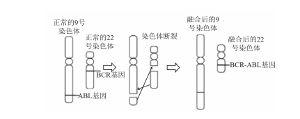 1703828331472266.png image.png