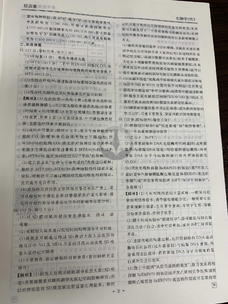 2025年语文Q1衡水金卷信息卷试卷答案